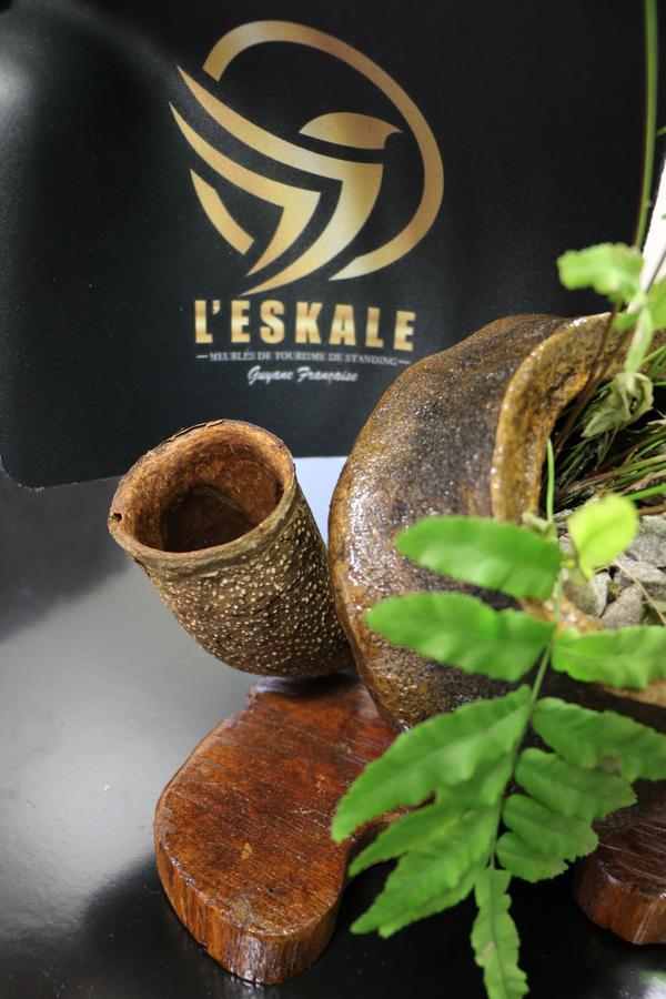 L'Eskale Guyane Lejlighedshotel Remire-Montjoly Eksteriør billede